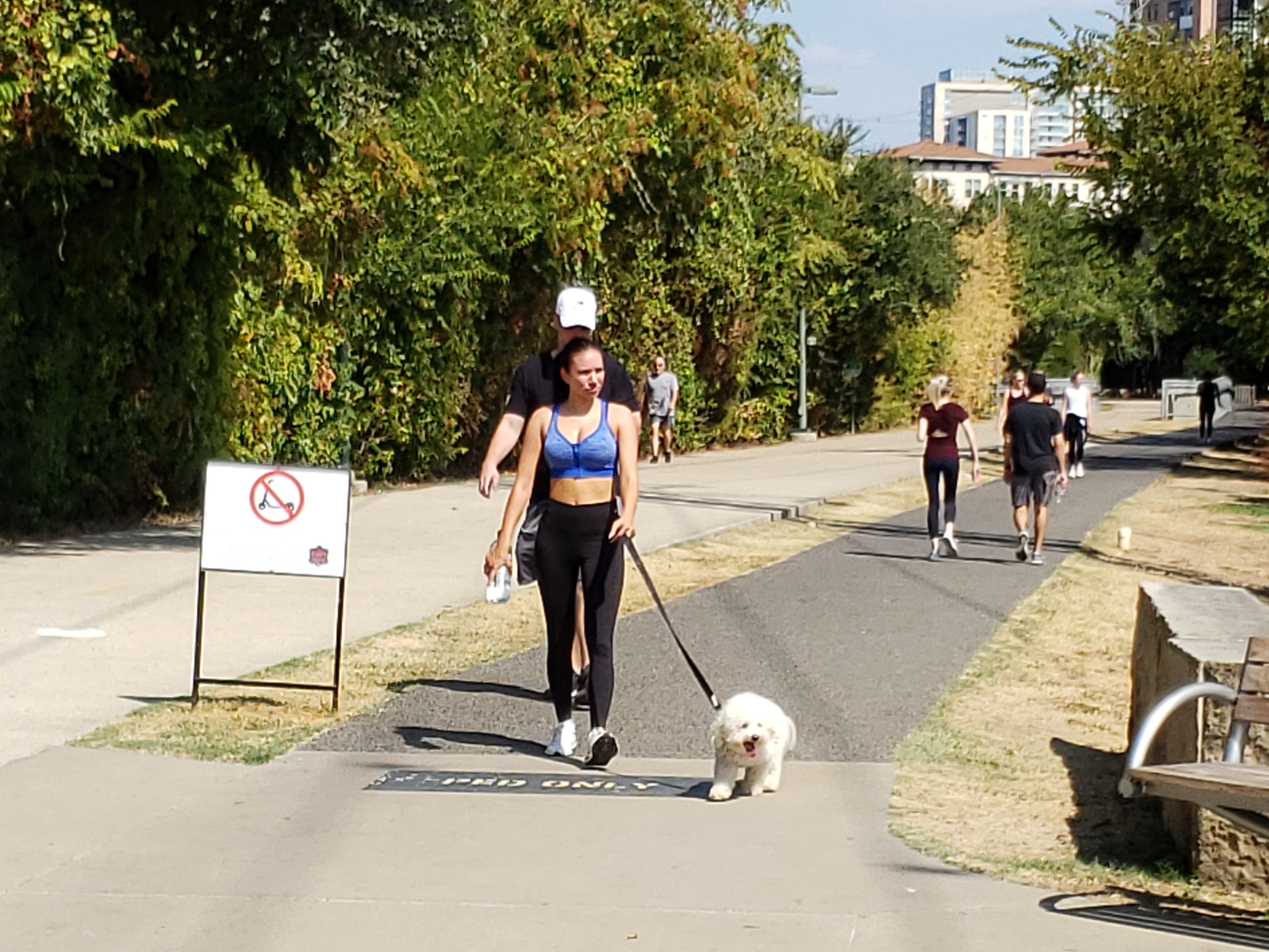 katy trail dallas dog walking